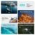DJI Mini 4 Pro Fly More Combo mit DJI RC 2 Fernsteuerung (Bildschirmfernsteuerung), faltbare Mini-Drohne mit 4K-Kamera, unter 249g, 34 Minuten Flugzeit, 2 zusätzliche Akkus, Klasse-C0 - 5